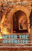 After the Afterlife (eBook, ePUB)