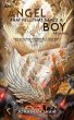 An Angel That Fell, That Saved A Boy... - Bild 1