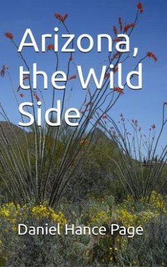 Arizona, the Wild Side (eBook, ePUB) - Page, Daniel Hance