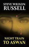 Night Train To Aswan (eBook, ePUB)