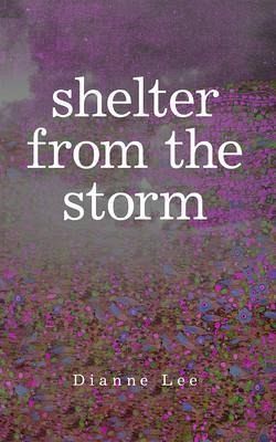 Shelter from the Storm (eBook, ePUB)
