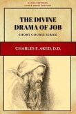 The Divine Drama of Job (eBook, ePUB)