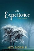 An Experience (eBook, ePUB)