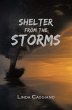 Shelter from the Storms (eBook, ePUB) - Bild 1