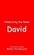 Celebrating the Name David (eBook, ePUB) - Bild 1