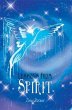 Lessons from Spirit (eBook, ePUB) - Bild 1