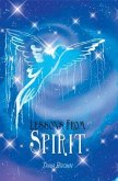 Lessons from Spirit (eBook, ePUB)