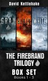 The Firebrand Trilogy (eBook, ePUB)