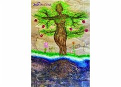 Cover Sublimations (eBook, ePUB)