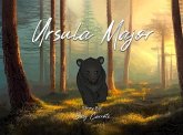 URSULA MAJOR (eBook, ePUB)