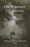 The Prisoner of Infinity (eBook, ePUB)