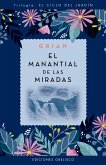 El manantial de las miradas (eBook, ePUB)