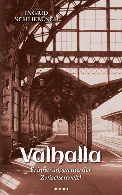 Cover Valhalla - Erinnerungen aus der Zwischenwelt! (eBook, ePUB)