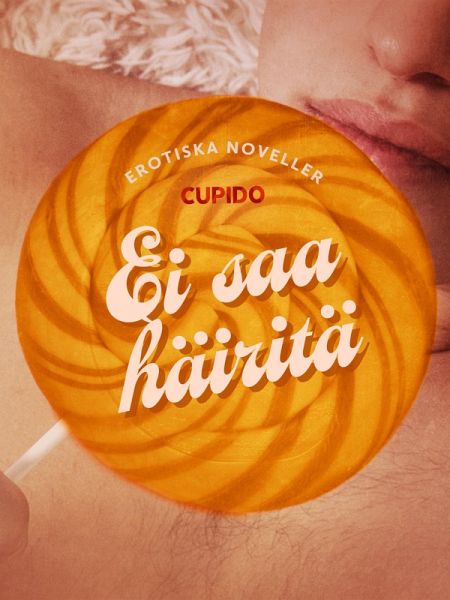 Ei saa häiritä - eroottinen novellikokoelma (eBook, ePUB)
