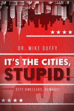 It's The Cities, Stupid! (eBook, ePUB) - Duffy, Mike