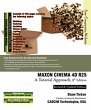 MAXON CINEMA 4D R25: A Tutorial... - Bild 1