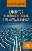Labirintos do tráfico de drogas e organização criminosa (eBook, ePUB)