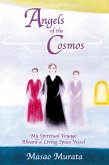 Angels of the Cosmos: My Spiritual Voyage Aboard a Living Space Vessel (eBook, ePUB)