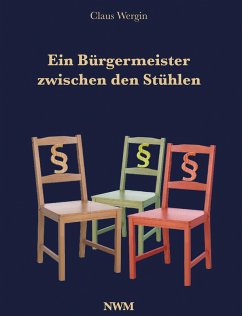 Ein Bürgermeister zwischen den Stühlen (eBook, ePUB) - Wergin, Claus