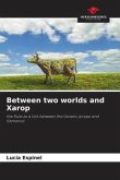 Between two worlds and Xarop