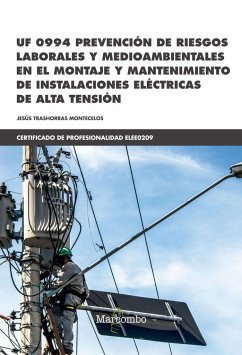 Prevención de riesgos laborales y medioambientales en el montaje y mantenimiento de instalaciones eléctricas de alta tensión - Trashorras Montecelos, Jesús
