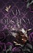 My Destiny - Bild 1