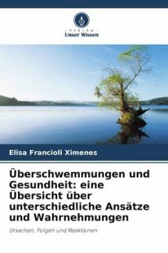Überschwemmungen und Gesundheit: eine Übersicht über unterschiedliche Ansätze und Wahrnehmungen - Francioli Ximenes, Elisa