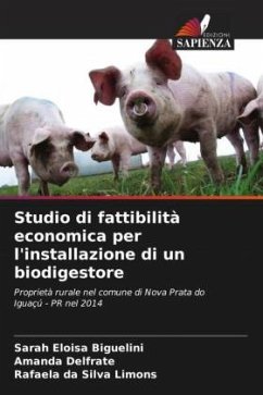 Studio di fattibilità economica per l'installazione di un biodigestore - Biguelini, Sarah Eloisa;Delfrate, Amanda;Silva Limons, Rafaela da