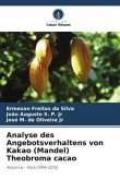 Analyse des Angebotsverhaltens von Kakao (Mandel) Theobroma cacao
