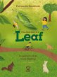 The journey of a leaf - Bild 1