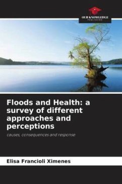 Floods and Health: a survey of different approaches and perceptions - Francioli Ximenes, Elisa