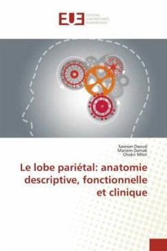 Le lobe pariétal: anatomie descriptive, fonctionnelle et clinique - Daoud, Sawsan;Damak, Mariem;Mhiri, Chokri