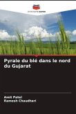 Pyrale du blé dans le nord du Gujarat