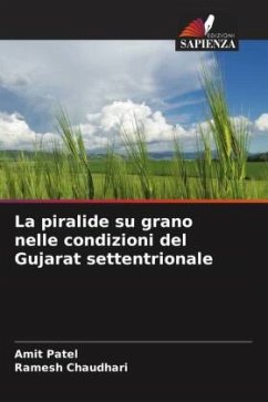 La piralide su grano nelle condizioni del Gujarat settentrionale - Patel, Amit;Chaudhari, Ramesh