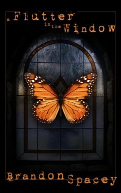 A Flutter in the Window (Shawn Stedwin, #1) (eBook, ePUB) - Spacey, Brandon