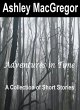 Adventures in Time (eBook, ePUB) - Bild 1