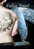 Fallen Angel: Redemption (eBook, ePUB)