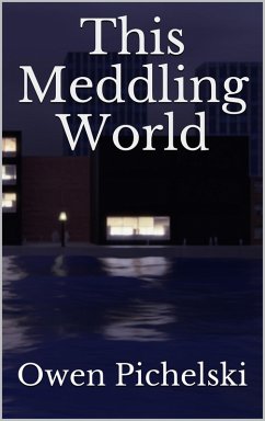 This Meddling World (eBook, ePUB) Cover This Meddling World (eBook, ePUB)