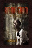 Birmingham (eBook, ePUB)