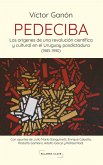 PEDECIBA: Los orígenes de una revolución científica y cultural en el Uruguay posdictadura (1985-1990) (eBook, ePUB)