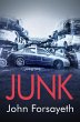 Junk (eBook, ePUB) - Bild 1