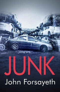 Cover Junk (eBook, ePUB)