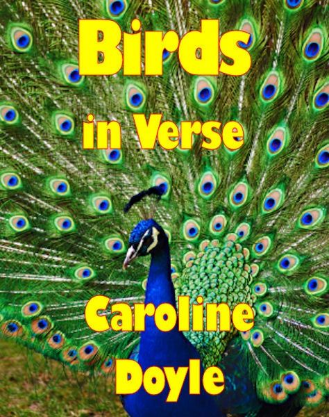 Birds In Verse (eBook, ePUB) Birds In Verse (eBook, ePUB)