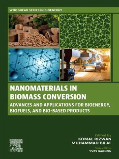 Cover Nanomaterials in Biomass Conversion (eBook, ePUB)