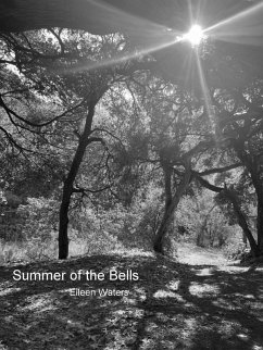 Summer of the Bells (eBook, ePUB) - Waters, Eileen