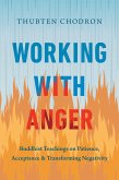 Working with Anger (eBook, ePUB)