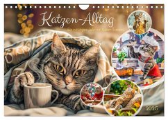 Katzen-Alltag - Ein witziges Jahr mit Kater Tommy (Wandkalender 2025 DIN A4 quer), CALVENDO Monatskalender