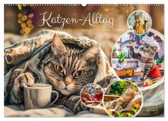 Katzen-Alltag - Ein witziges Jahr mit Kater Tommy (Wandkalender 2025 DIN A2 quer), CALVENDO Monatskalender - Calvendo;Frost, Anja