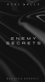 Enemy Secrets (eBook, ePUB)