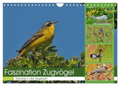 Faszination Zugvögel - Rekorde in der Vogelwelt (Wandkalender 2025 DIN A4 quer), CALVENDO Monatskalender